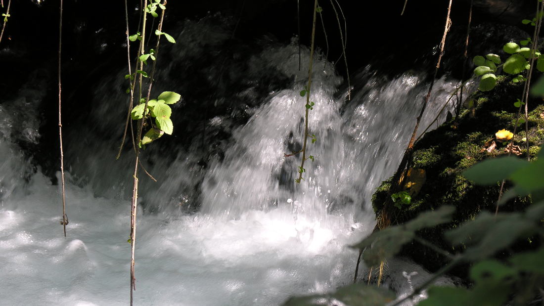 Photo of waterfall with greens