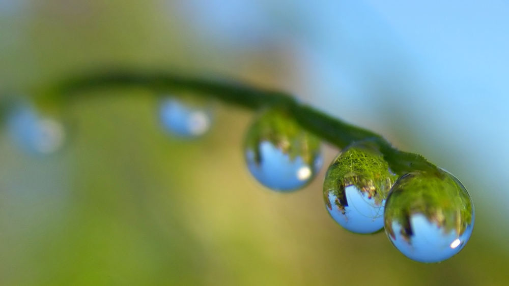 Close-up photo of droplets